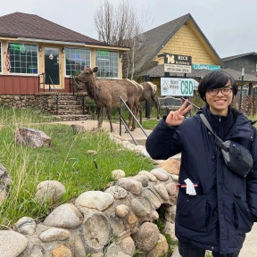 ARui's Blog